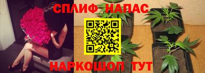 spice Абакан