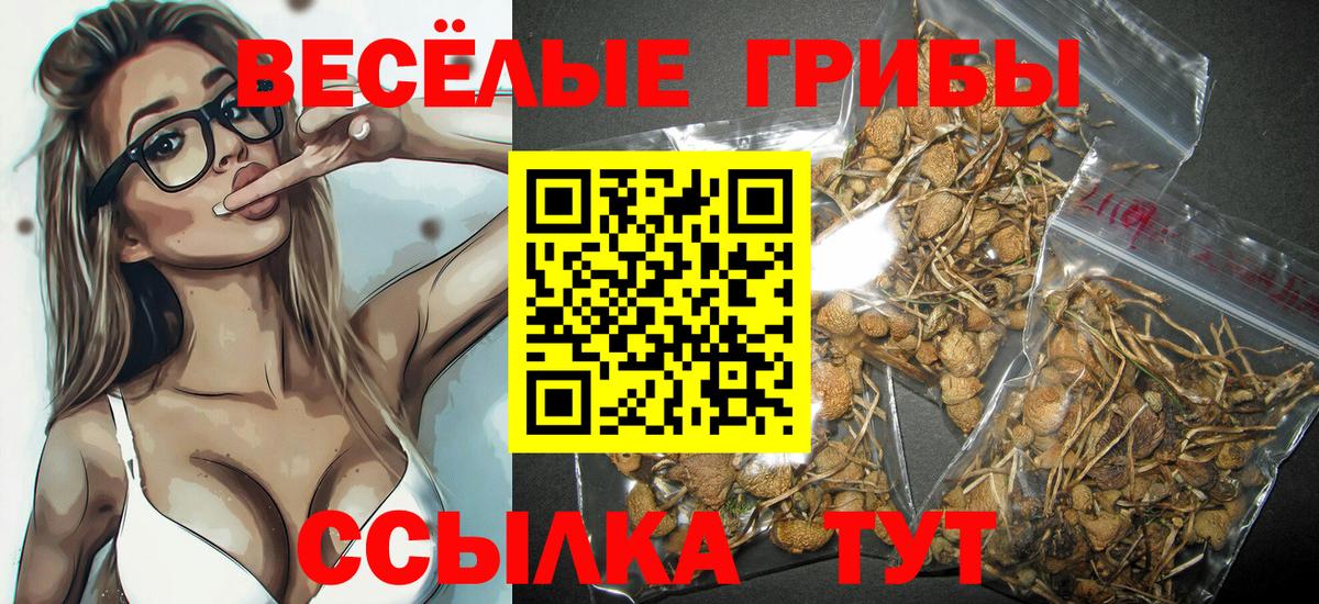 Псилоцибиновые грибы мухоморы Алексеевка